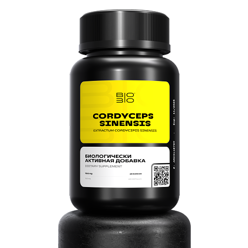 
                                 
                                     Cordyceps Sinensis
                                 
                                 