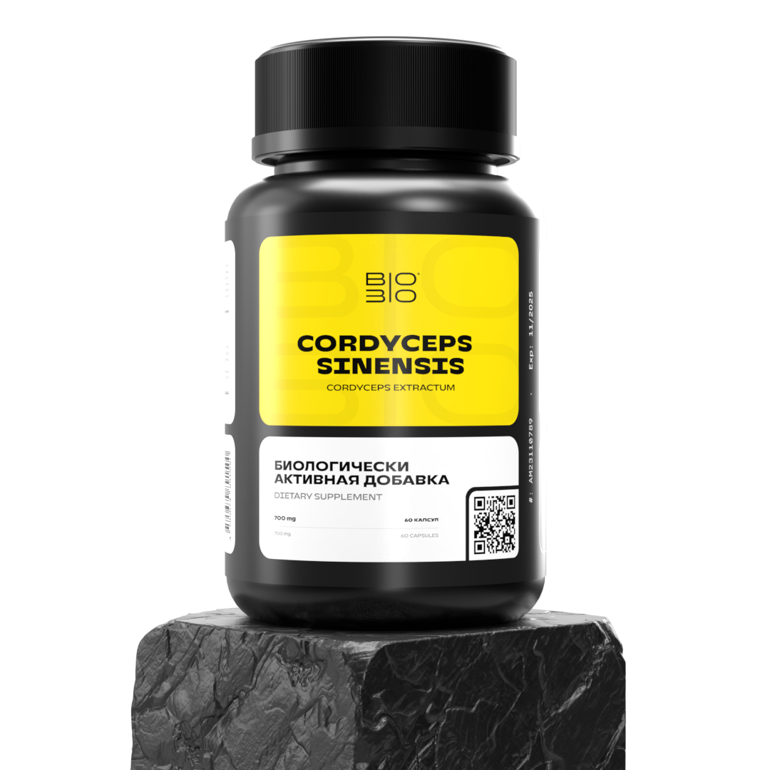 
                                 
                                     Cordyceps Sinensis
                                 
                                 